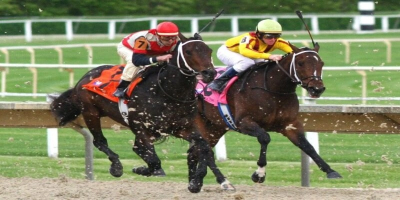 chien-luoc-choi-dua-ngua-789club-cho-cac-tan-bet-thu