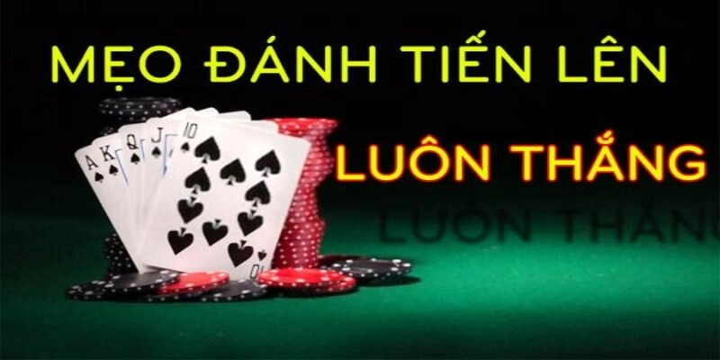 tong-quan-doi-net-ve-bai-tien-len